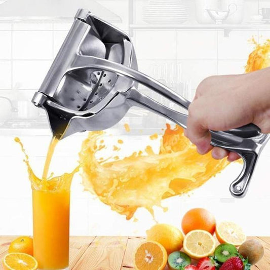 Stainless Steel Fruit Juicer